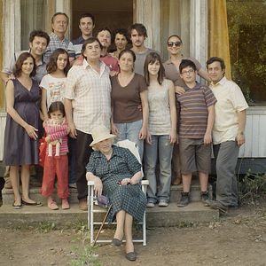 Bilder El árbol magnético