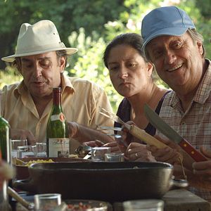 Bilder El árbol magnético