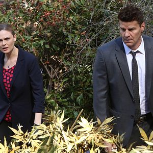 Bilder David Boreanaz