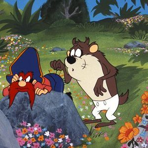 Bilder Daffy Ducks fantastische Insel