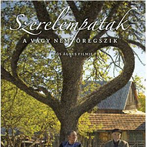 Bilder Stream of Love