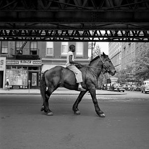 Bilder Finding Vivian Maier
