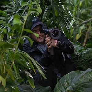 Bilder Jurassic World