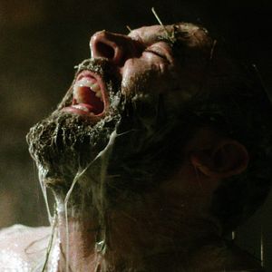 Bilder Graham Skipper