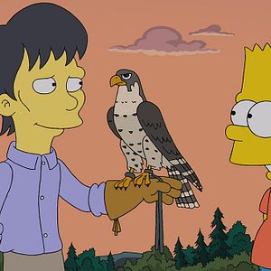 Bilder Die Simpsons