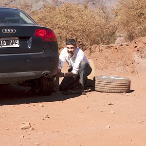 Bilder Leonardo Sbaraglia