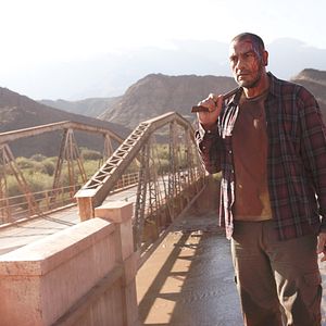 Bilder Wild Tales - Jeder dreht mal durch!