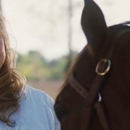 Bilder Beneath Hill 60