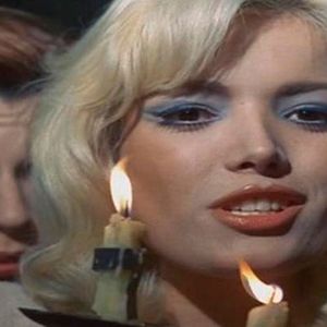 Bilder Vampires of Vogel