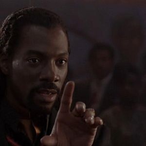 Bilder Vampire in Brooklyn