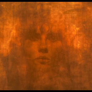 Bilder Under the Skin