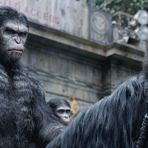 Bilder Planet der Affen 2: Revolution