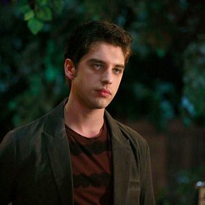 Bilder David Lambert (II)