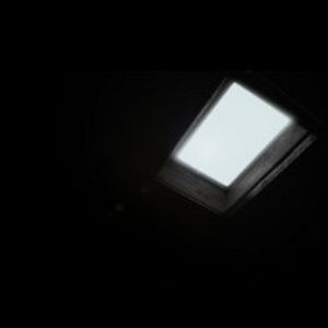 Bilder Dead Within - Kein Entkommen!