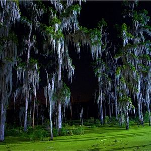 Bilder Motel Room 13