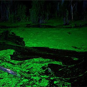 Bilder Motel Room 13