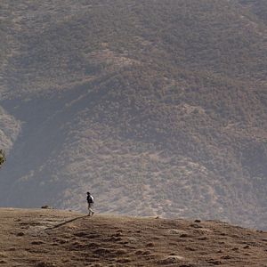 Bilder Der Junge Siyar