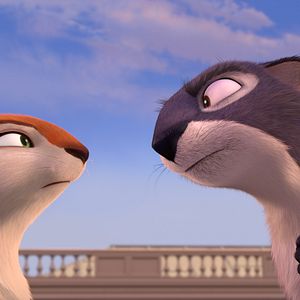 Bilder Operation Nussknacker