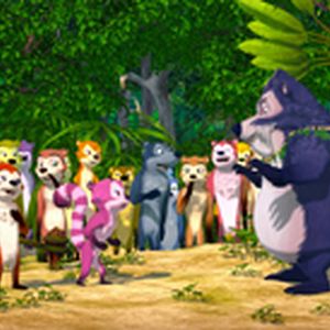 Bilder Ab durch den Dschungel