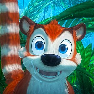 Bilder Ab durch den Dschungel