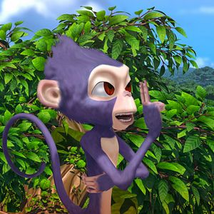 Bilder Ab durch den Dschungel