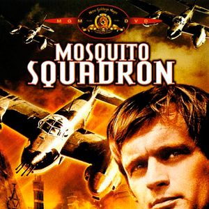 Bilder Moskito-Bomber greifen an