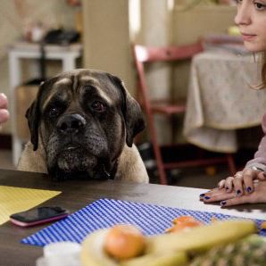 Bilder Lucie Bourdeu