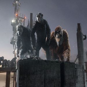 Bilder Planet der Affen 2: Revolution