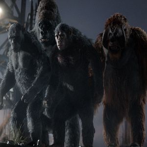 Bilder Planet der Affen 2: Revolution