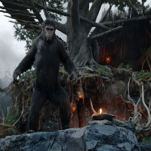 Bilder Planet der Affen 2: Revolution