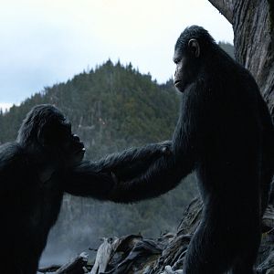 Bilder Planet der Affen 2: Revolution