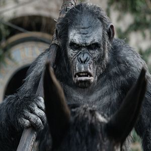 Bilder Planet der Affen 2: Revolution