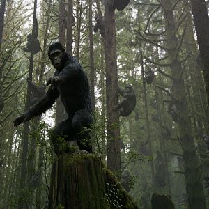 Bilder Planet der Affen 2: Revolution