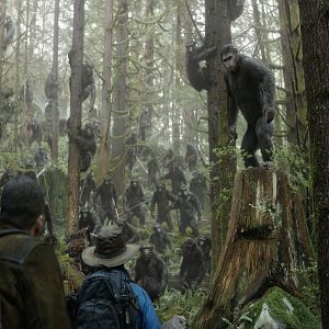 Bilder Planet der Affen 2: Revolution