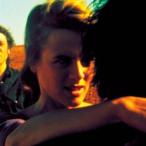 Bilder Das rote Eichhörnchen