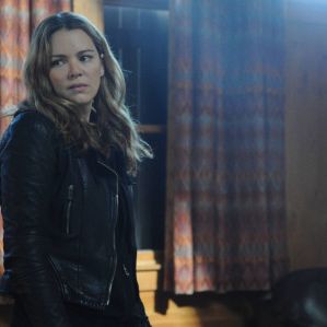 Bilder The Following