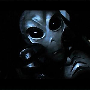 Bilder All Hallows' Eve - Komm raus und spiel!