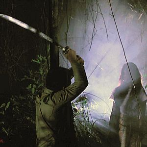 Bilder 1942 - Paranormal War