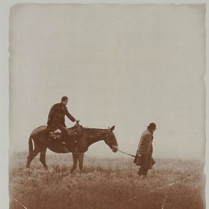 Bilder In schlechter Gesellschaft