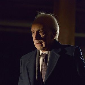 Bilder Jonathan Hyde