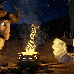 Bilder Khumba - Das Zebra ohne Streifen am Popo