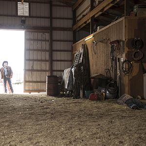 Bilder Robert Taylor (II)