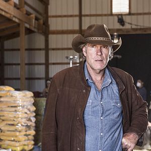 Bilder Robert Taylor (II)