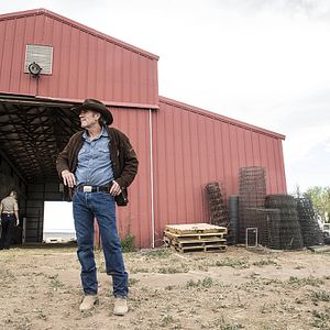 Bilder Robert Taylor (II)