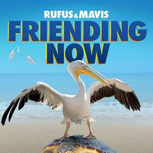 Bilder Mein Freund, der Delfin 2