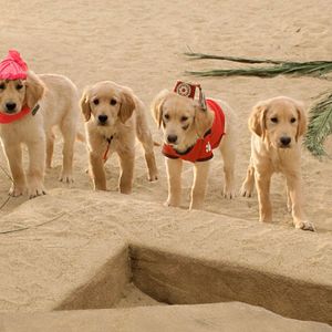 Bilder Treasure Buddies - Schatzschnüffler in Ägypten