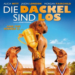 Bilder Die Dackel sind los