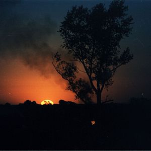 Bilder Asche vom Paradies