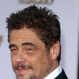 Bilder Benicio Del Toro