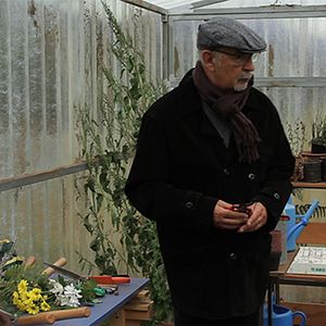 Bilder O ouro do tempo